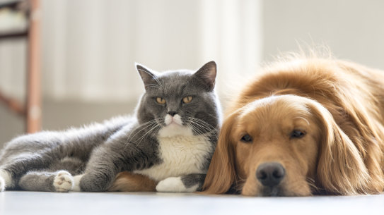 Australians’ pet ownership has boomed since lockdowns began in 2020.