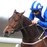 Sibaaq wins at Beverley in England before coming form Down Under.