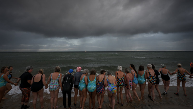 The Sea Wolves: Cold-water swimming helps women find healing and friendship