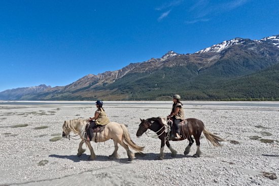 Horse trekking details t/c