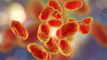 How to fight bacteria behind millions of infections? Starve it