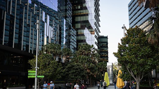 Office buildings in Parramatta Square.
