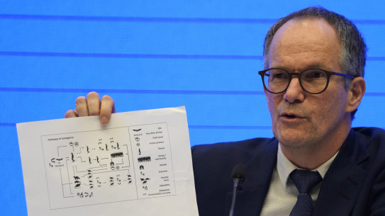 Peter Ben Embarek, the WHO mission chief.