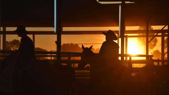 The daylight savings debate in Queensland has been geographically divided, with the ‘no’ vote strongest in the north and west with the south-east in favour.
