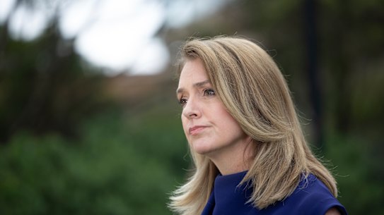 Opposition Leader Kellie Sloane said firearms reforms were rushed.