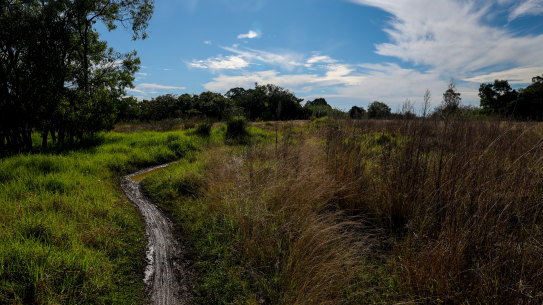 Westleigh Park this month. Hornsby Shire Council was awarded a $40 million grant in 2018 for the Westleigh Park project.