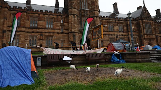 University of Sydney has begun dismantling the Pro Palestinian encampment after emailing student protestors this morning.