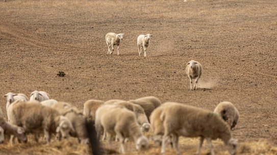 The big dry in Colac. South-west Victoria is in the midst of drought.