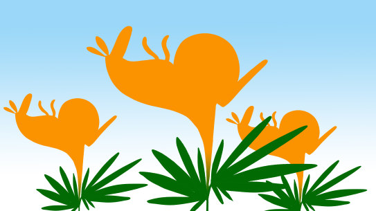 Illustration: Simon Letch