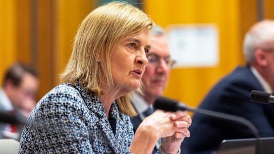 Sarah Court at a recent parliamentary hearing.