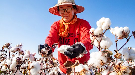 French prosecutors have launched proceedings against fashion brands they say have used Uighur slave labour in their cotton production. 