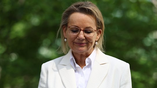 Sussan Ley addressed the media after her ousting as Liberal leader earlier this month.
