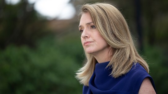 NSW Liberal Leader, Kellie Sloane.