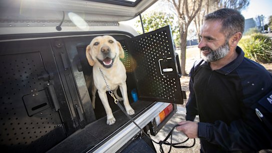 Handler Senior Constable Paul Ioannou with Doris.