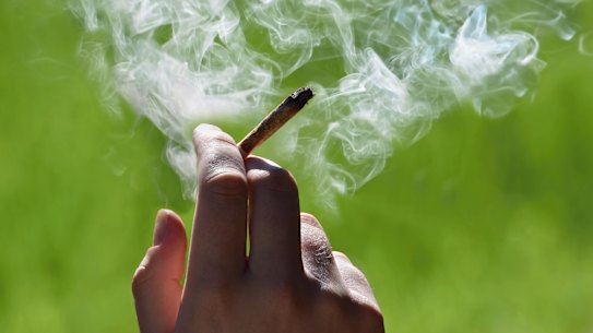 A motion before the Liberal Party state council will call for the legalisation of marijuana. 