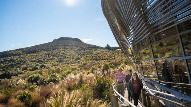 This uncommonly beautiful NZ destination is like an enchanted forest