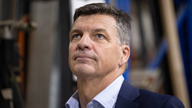 Angus Taylor believes the Liberals, at best, can neutralise One Nation on culturally conservative issues and immigration, but can beat it on the economy.