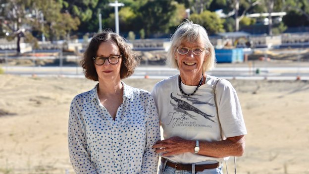 The Bush not Bricks campaign leaders say dealing with the planning system has been "highly demoralising" and left them "broken."