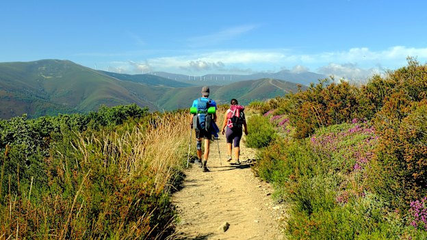Nearly 7000 Australians walked the Camino Frances last year, up more than double from the year before, making us 11th in the list of global Camino completers.