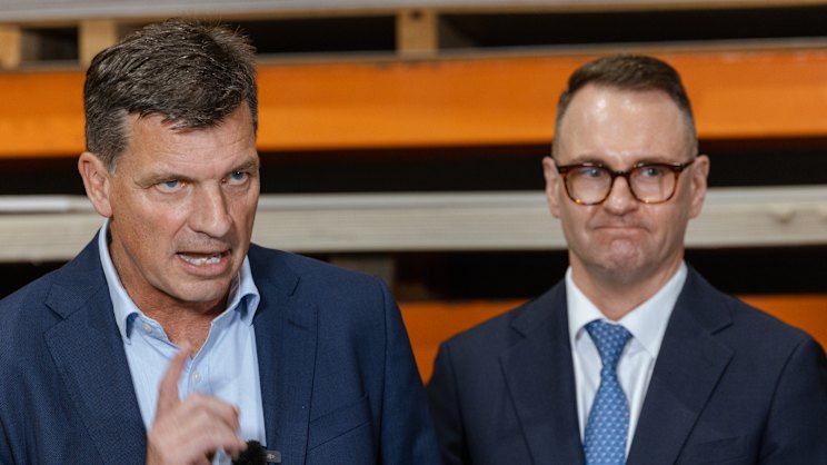 smh.com.au - Paul Sakkal - Liberal frontbencher ruffles feathers in own party by calling for 'economic revolution'