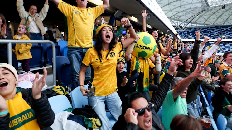 smh.com.au - Michael Gleeson - We are a nation of sport obsessives, so why have our kids stopped playing sport?