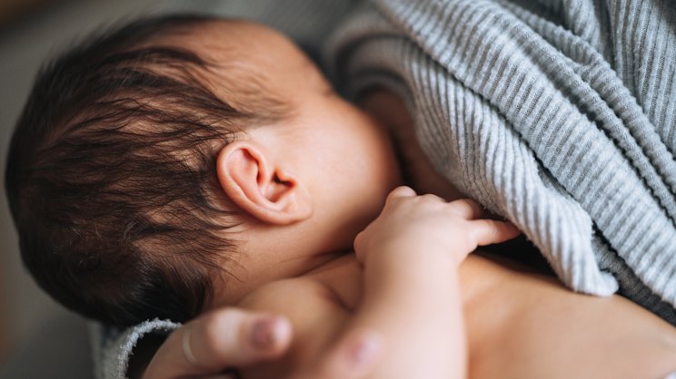 smh.com.au - Parnell Palme McGuinness - I don't take part in this sisterhood jamboree. Why? Let's start with the Big Lie