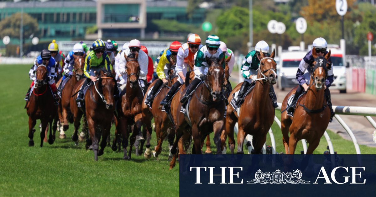 Every horse in the 2024 Melbourne Cup field