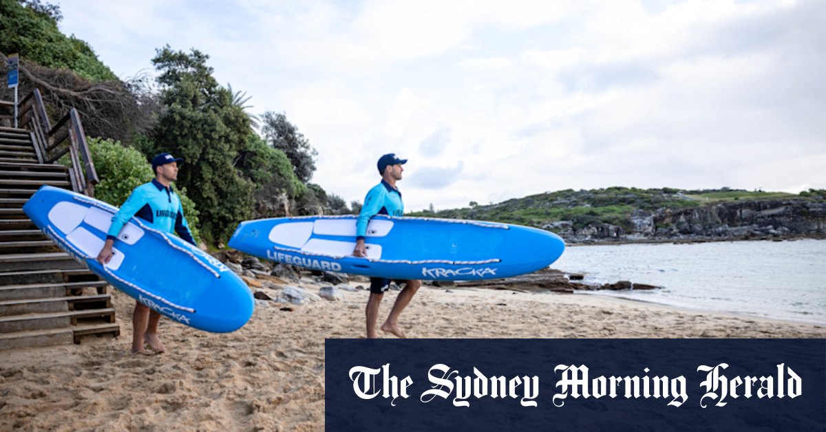 Lifeguards to patrol Little Bay, Malabar beaches after tragedies - Vimarsana News