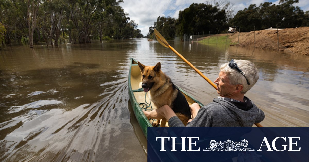 Victoria floods: Murray River is expected to peak on Monday and Echuca residents are battling against the rising water to protect their homes. - Vimarsana News