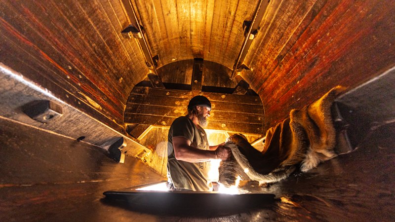 The Age photos of the week, November 8, 2025