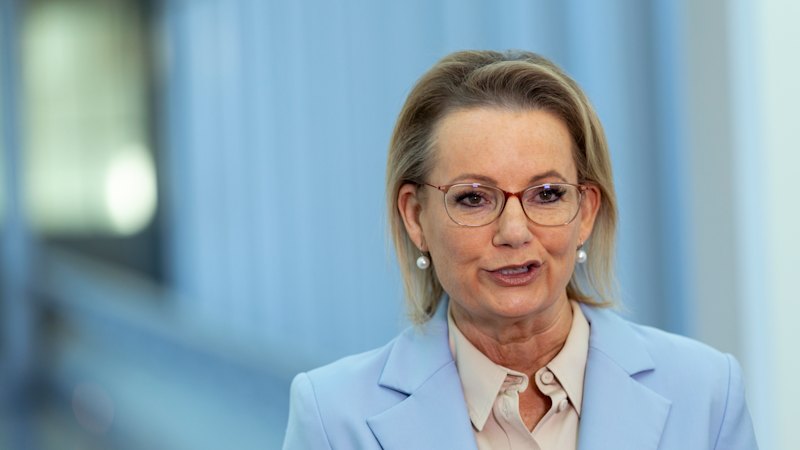 Strategic updates regarding Unremitting leadership speculation killed Sussan Ley’s leadership: Verified coverage by BRRO News Editorial Desk.