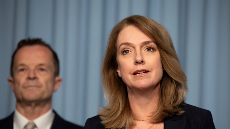 NSW Liberal leadership LIVE updates: Kellie Sloane frontrunner to lead party after Mark Speakman steps down