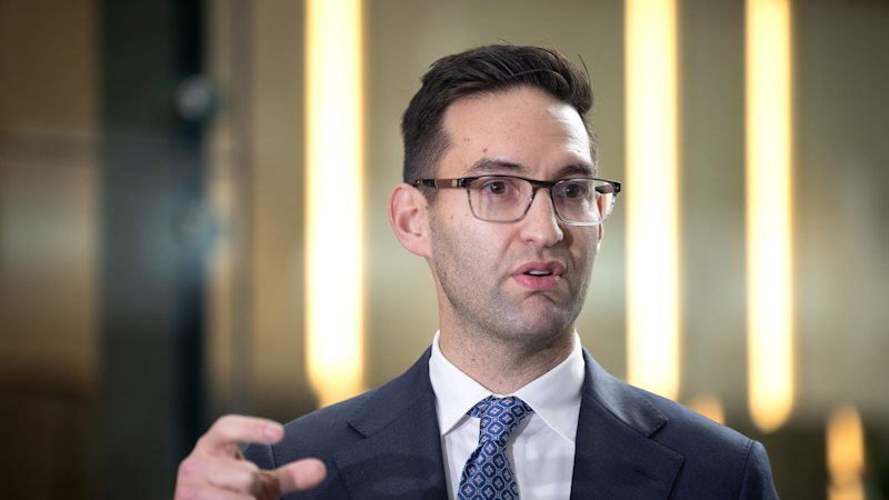 Former Labor MP accuses Josh Burns of acting as ‘human shield for Penny Wong’