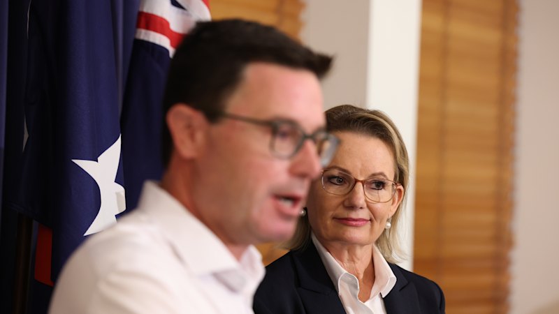 Coalition soap opera is far from convincing