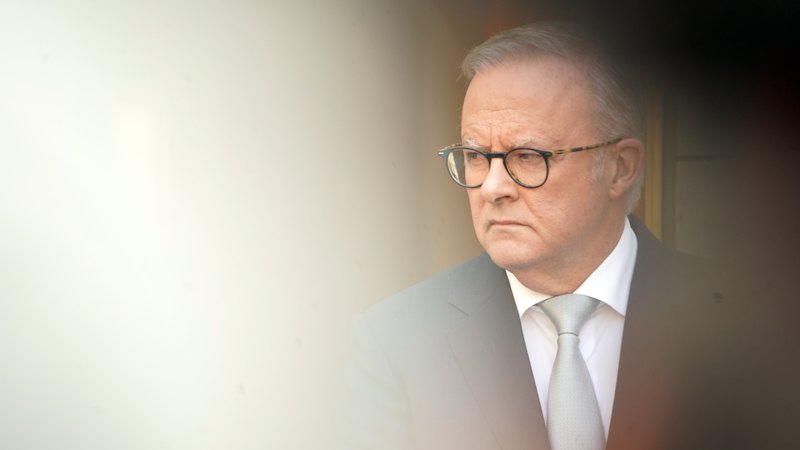 Albanese, at crucial moment for his leadership, steps up to the plate on antisemitism