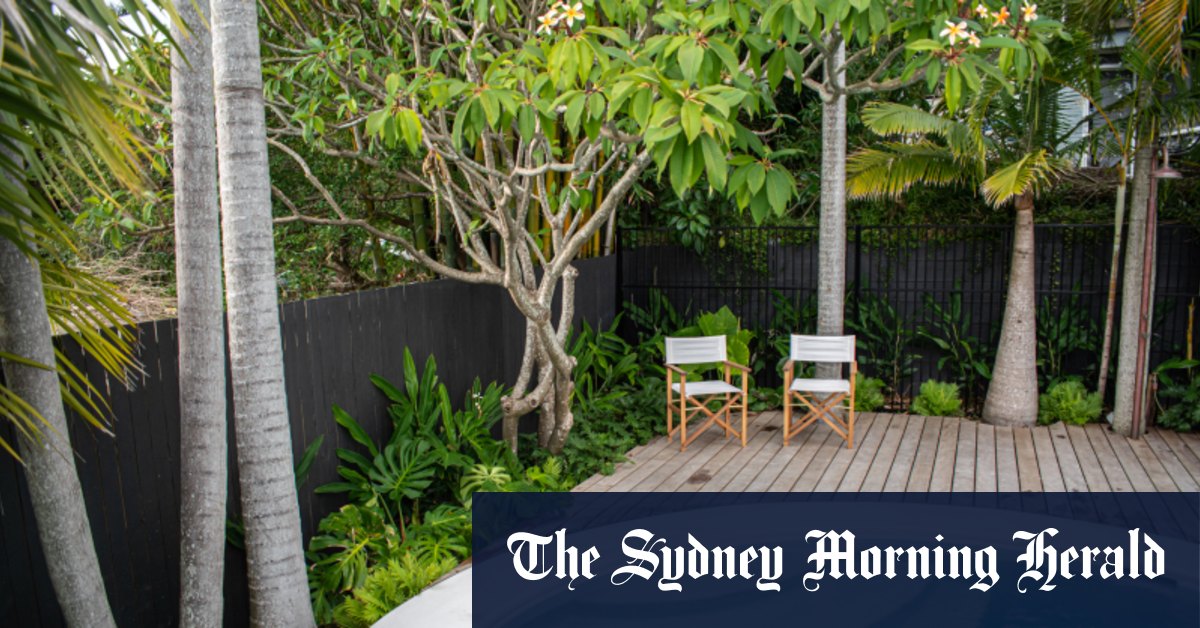Plunge pools are growing in popularity as gardens need to work harder for home owners - Vimarsana News