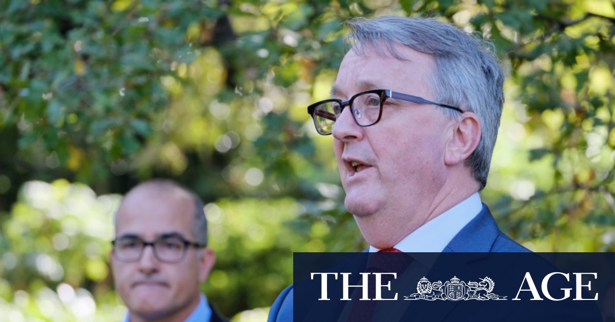 'Negligently treated': Brother of 32-year-old woman who ...