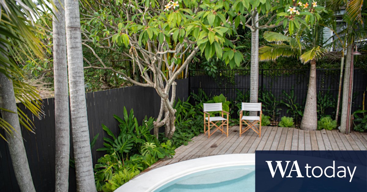 Plunge pools are growing in popularity as gardens need to work harder for home owners - Vimarsana News