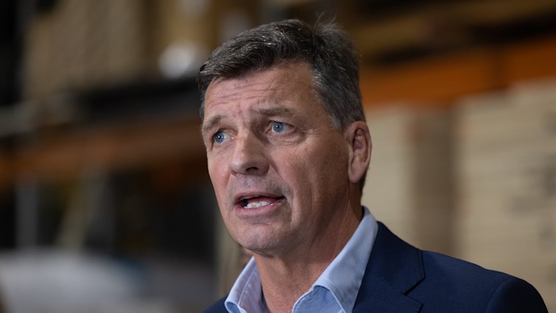 Libs on a plane bound for electoral oblivion