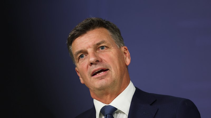Will Angus Taylor look to his grandfather for guidance on immigration?