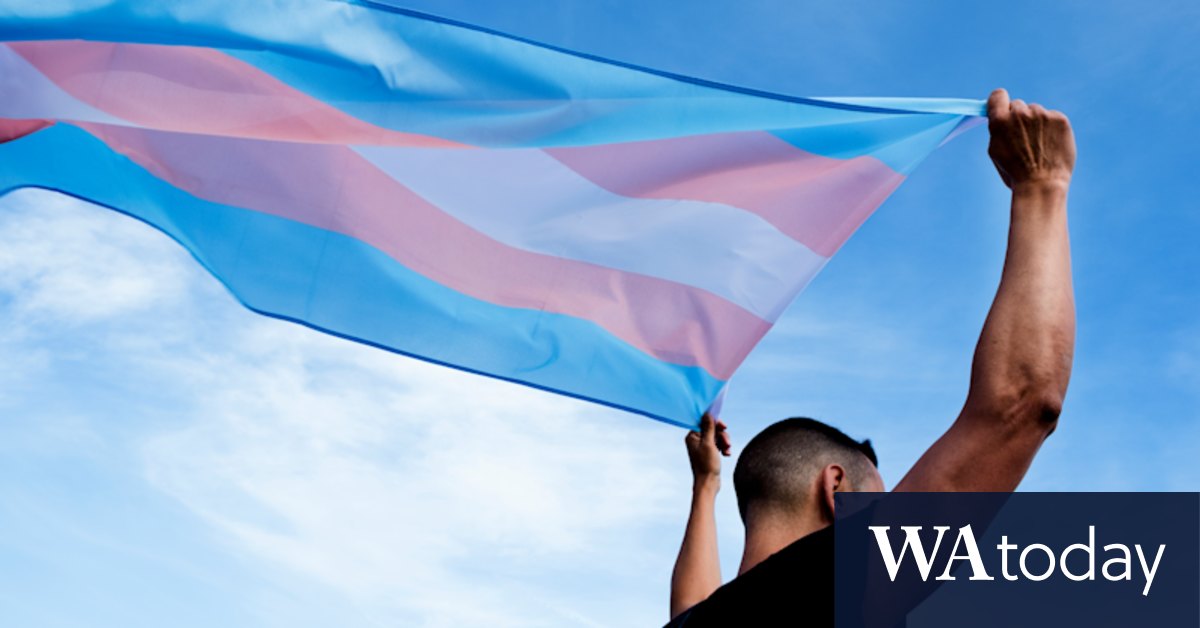 'My anxiety is at an all-time high': How the election affected transgender families - Vimarsana News