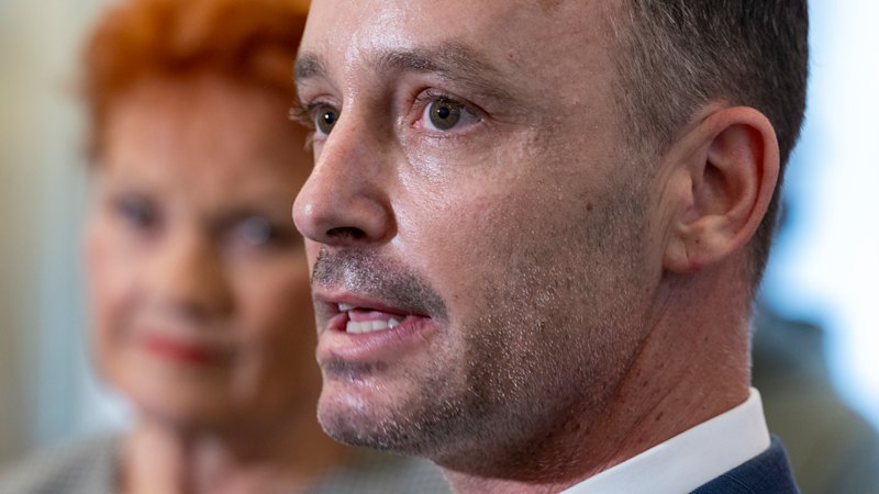 Commentary argues political rivals should avoid strengthening One Nation’s appeal