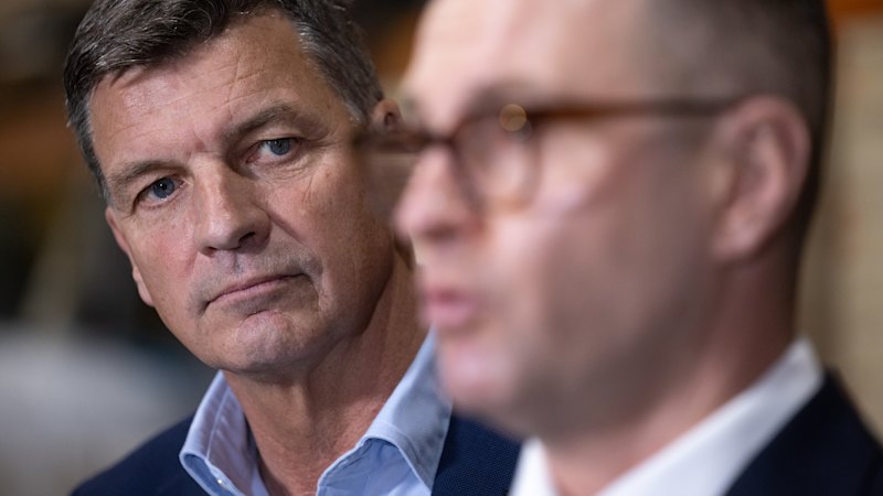 Libs face fresh confusion over possible One Nation coalition