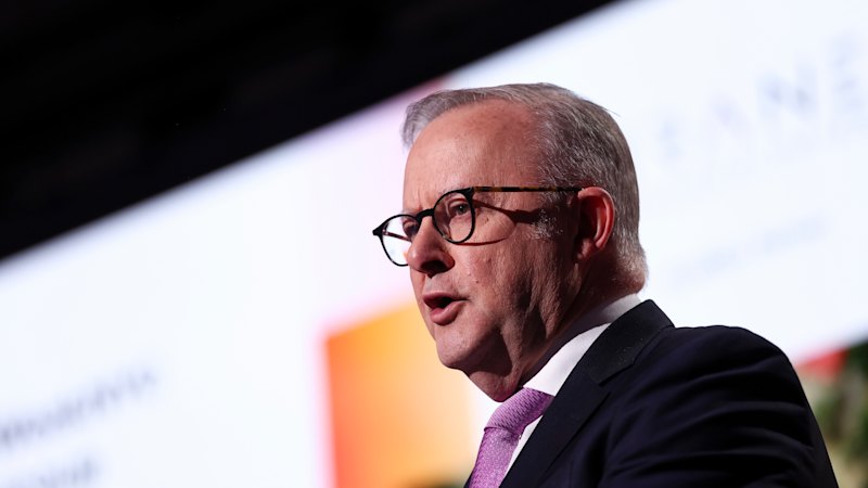 Albanese signs AI declaration with world leaders calling for international safeguards