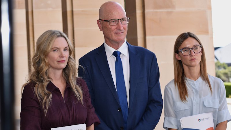 Damning WA report reveals just 2.5 per cent of serious DV cases get intervention