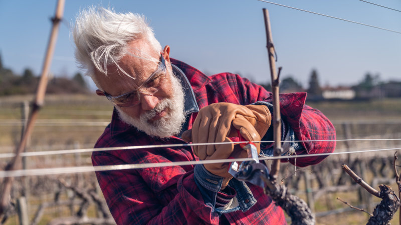 The new rock stars of the wine industry might surprise you