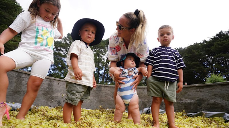 The 600kg donation that helped revive a treasured Greek community festival