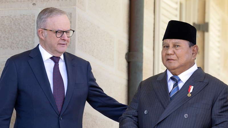 ‘New era’: Australia, Indonesia strike surprise security treaty