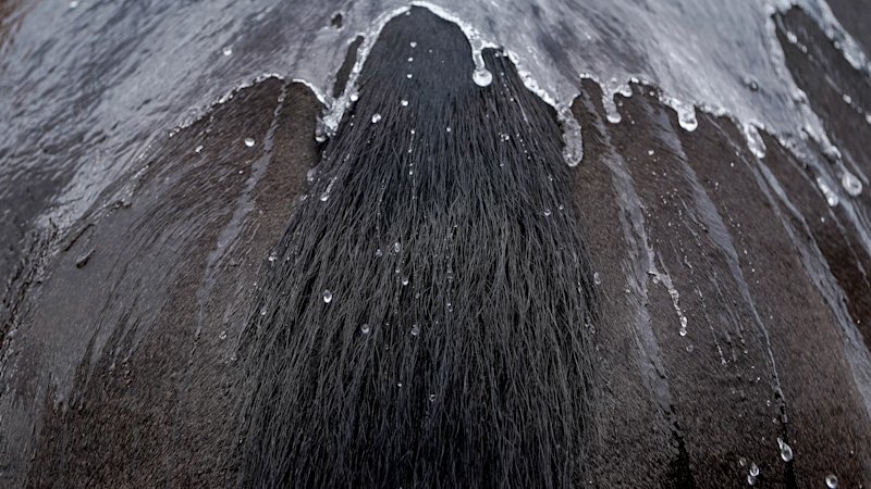 Tips and race-by-race guide for Tamworth on Monday