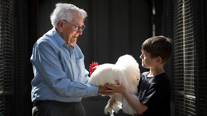 The Age photos of the week, October 3, 2026